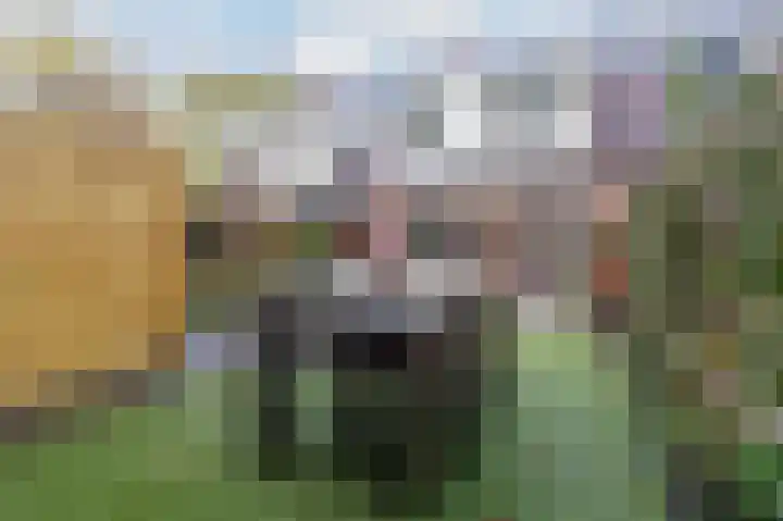 Isebrandtsheerd 127 Groningen thumbnail 32