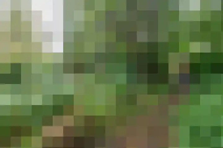 Isebrandtsheerd 127 Groningen thumbnail 34