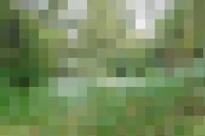 Isebrandtsheerd 127 Groningen thumbnail 35