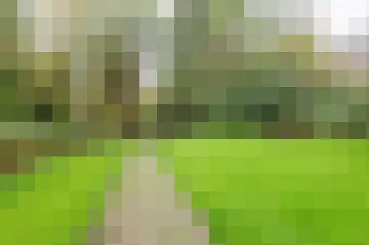 Isebrandtsheerd 127 Groningen thumbnail 36