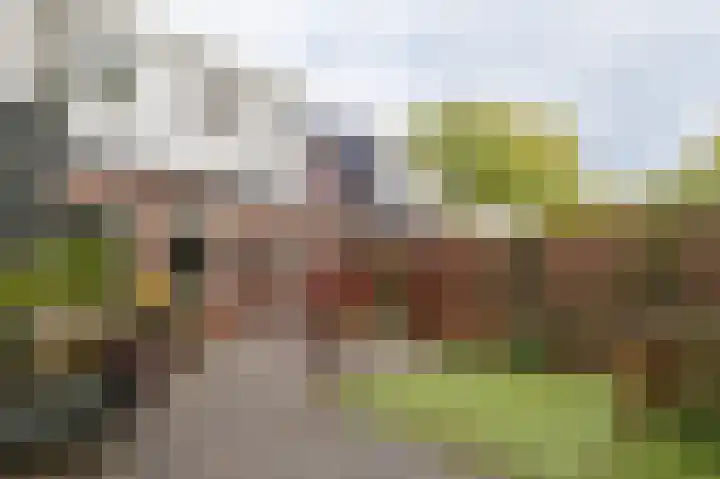 Isebrandtsheerd 127 Groningen thumbnail 39