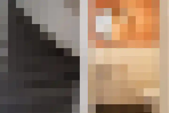 Isebrandtsheerd 127 Groningen thumbnail 42