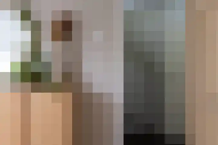 Isebrandtsheerd 127 Groningen thumbnail 49