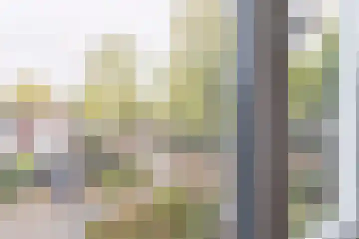 Isebrandtsheerd 127 Groningen thumbnail 67