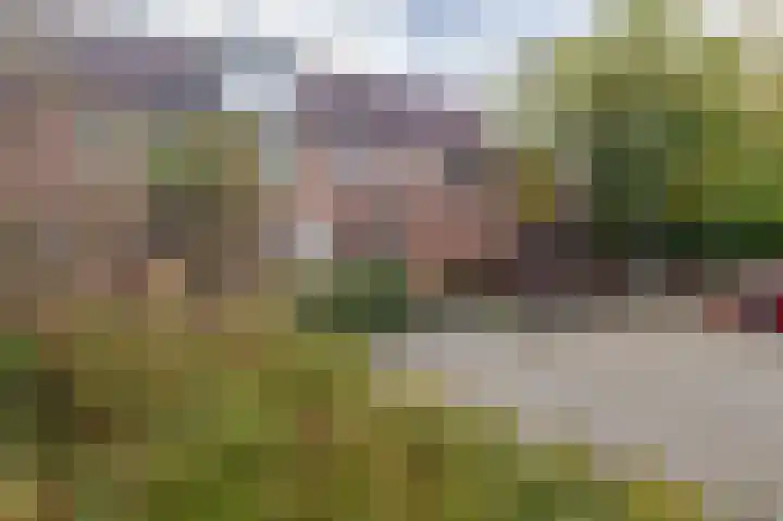 Isebrandtsheerd 127 Groningen thumbnail 73