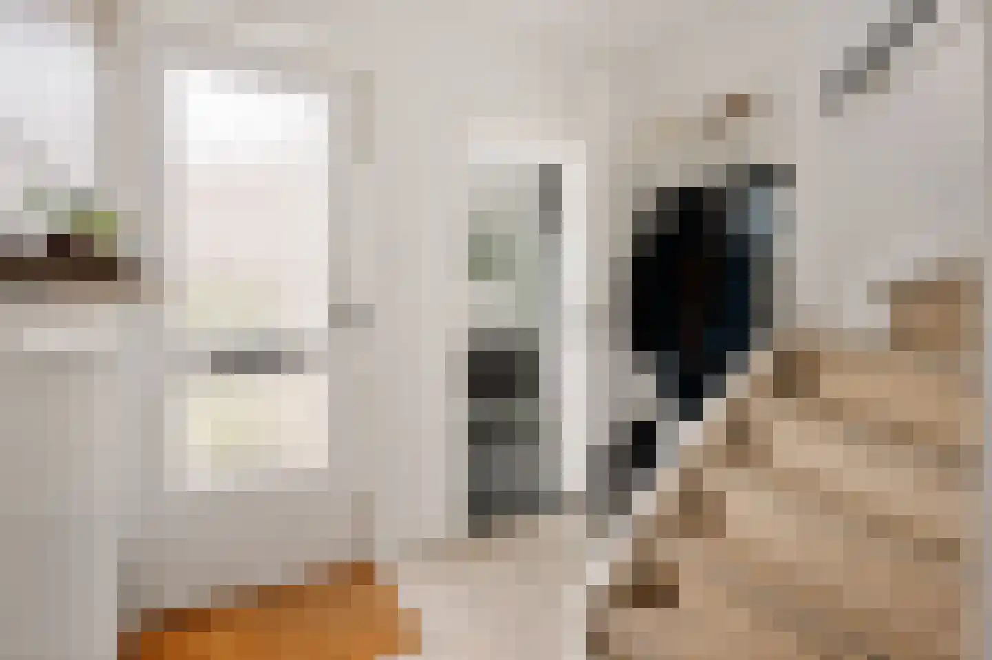 Isebrandtsheerd 147 Groningen thumbnail 13