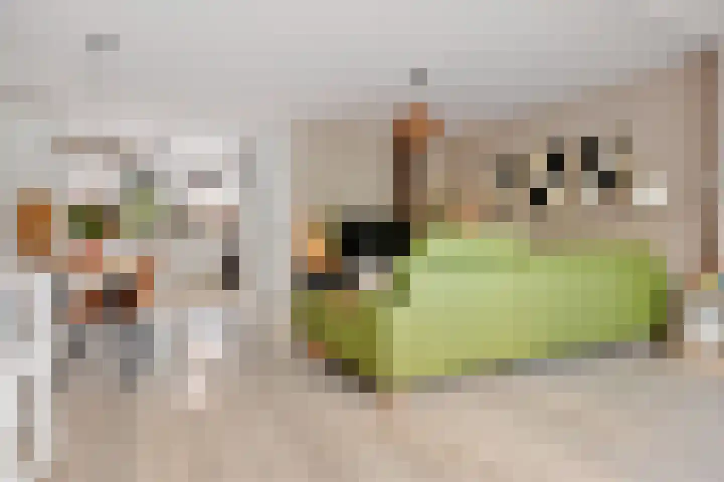Isebrandtsheerd 147 Groningen thumbnail 23