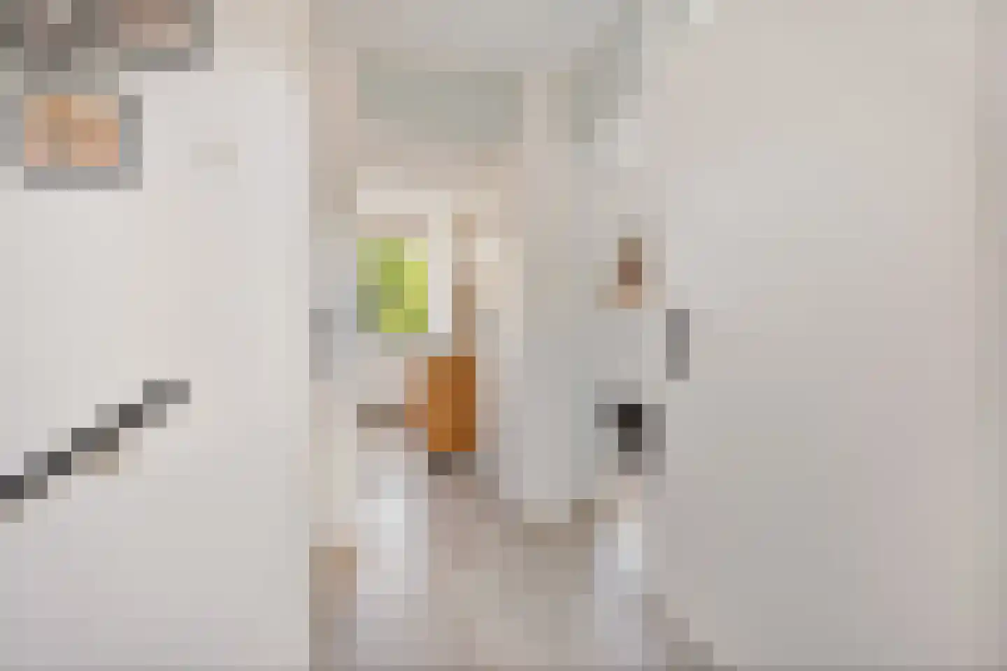 Isebrandtsheerd 147 Groningen thumbnail 36
