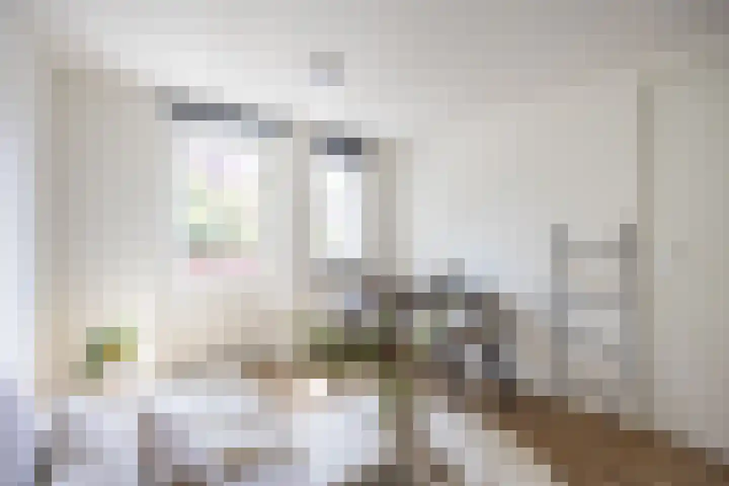 Isebrandtsheerd 151 a Groningen thumbnail 7