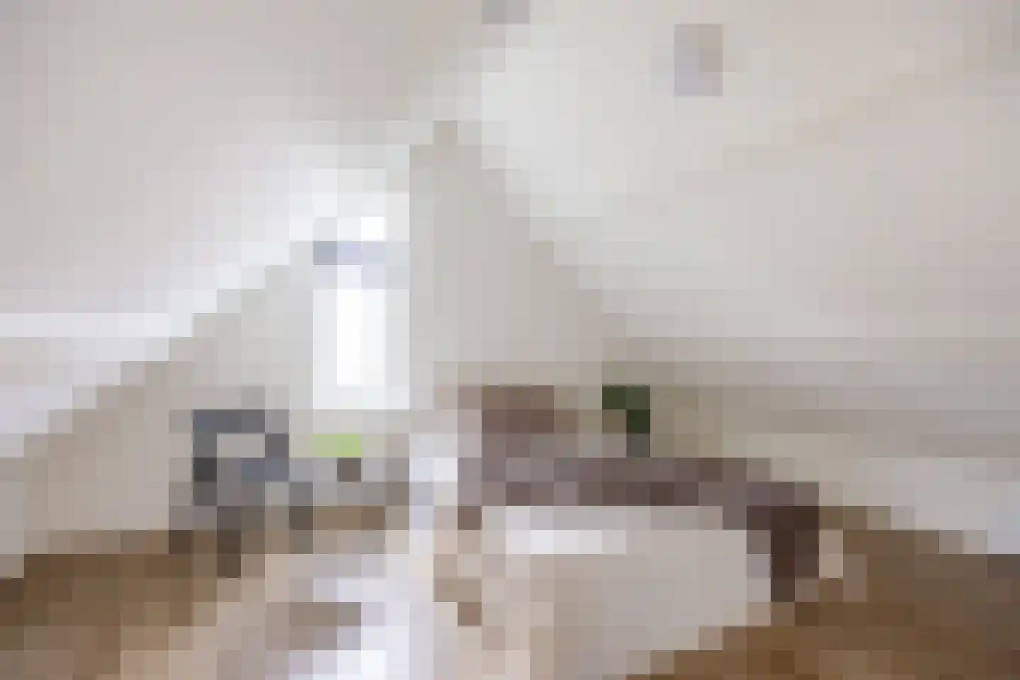 Isebrandtsheerd 151 b Groningen thumbnail 14