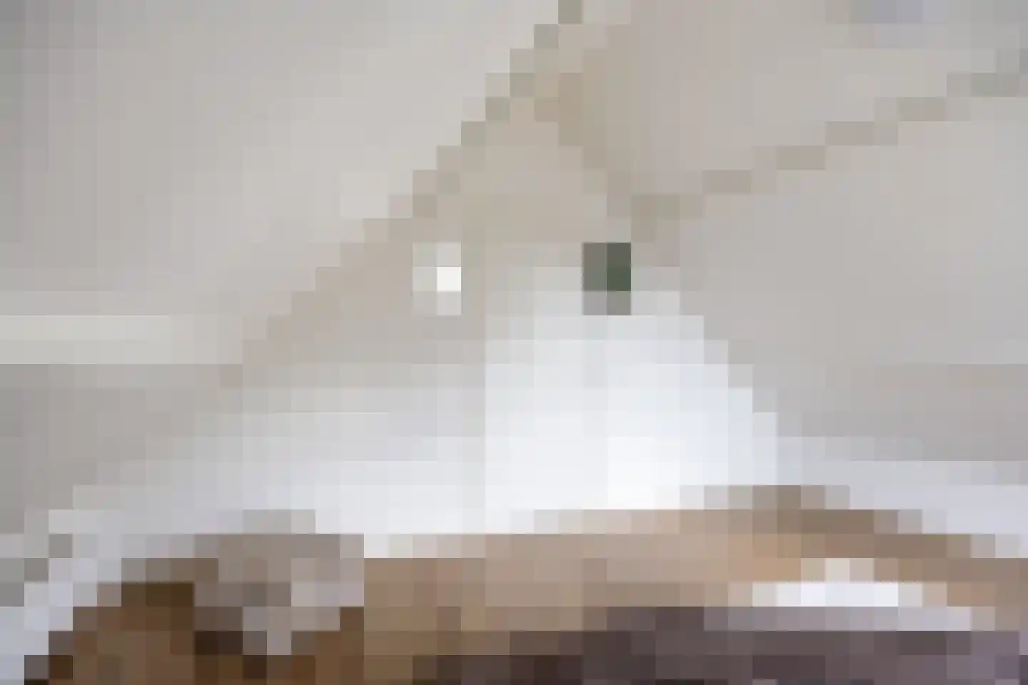 Isebrandtsheerd 151 b Groningen thumbnail 16