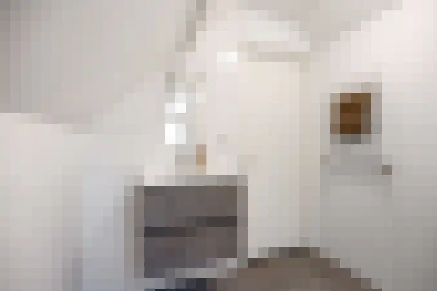 Isebrandtsheerd 151 b Groningen thumbnail 18