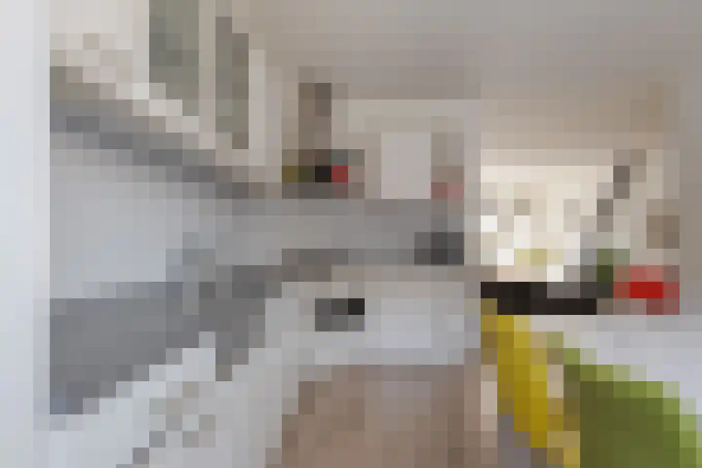 Isebrandtsheerd 195 Groningen thumbnail 14