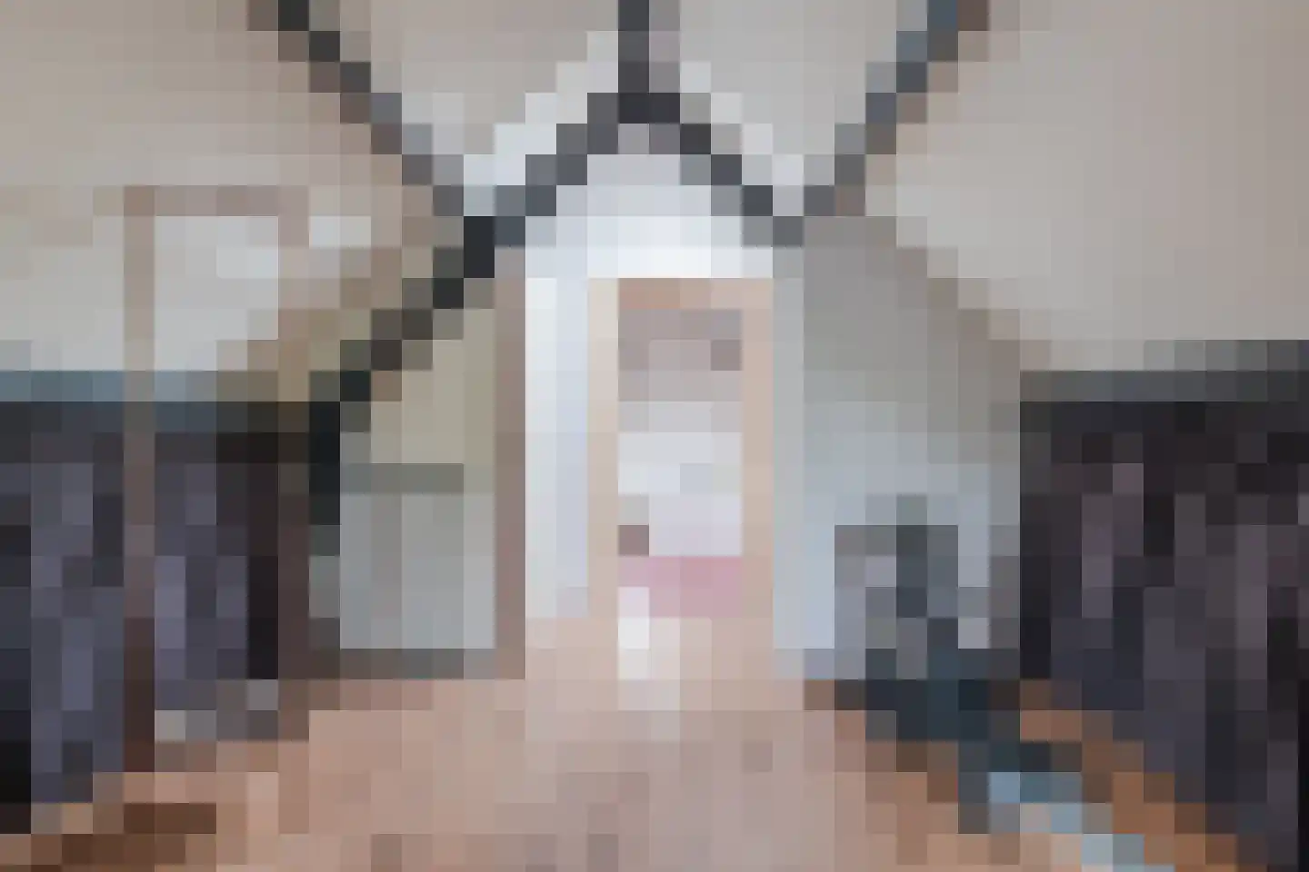Isebrandtsheerd 200 Groningen thumbnail 40