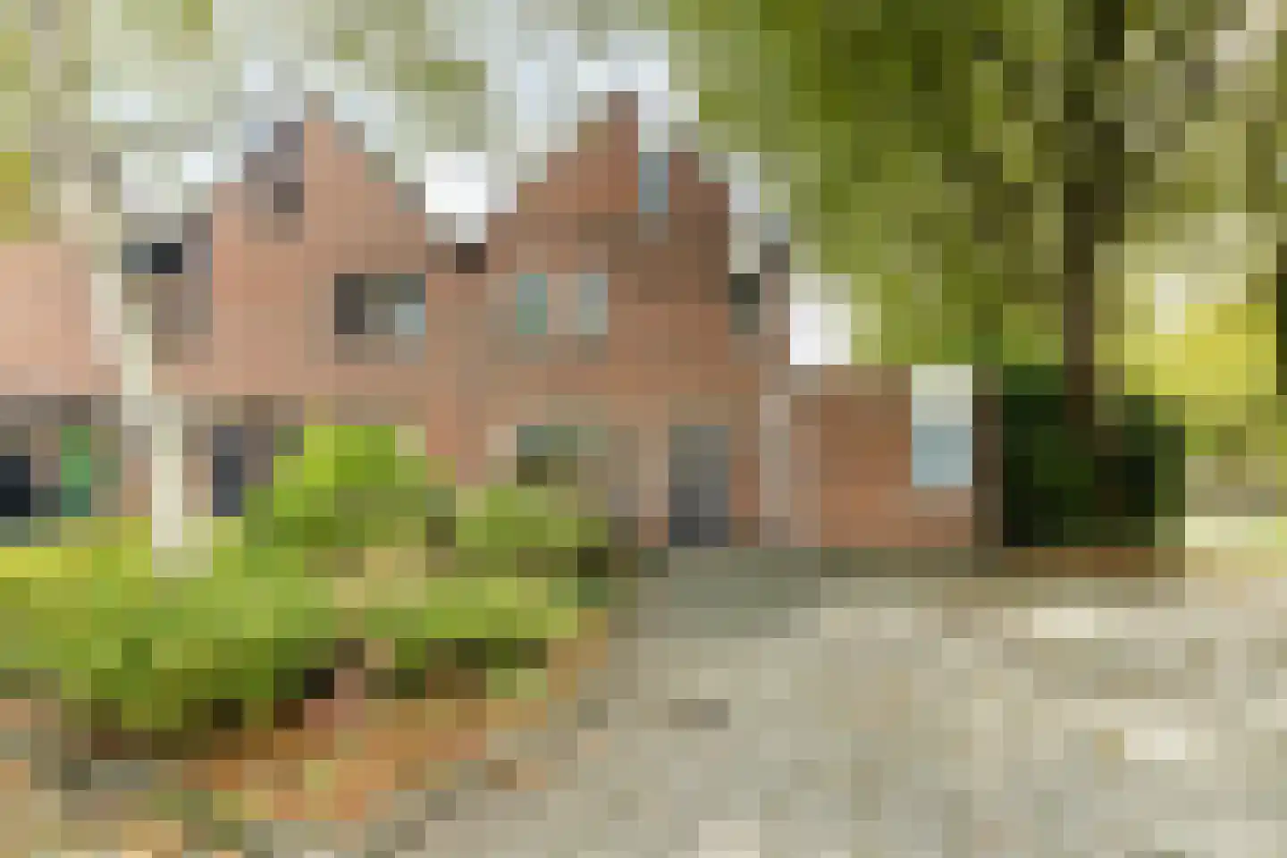 Isebrandtsheerd 202 Groningen