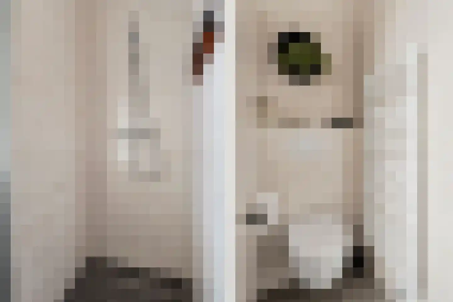 Iseldoks 117 Doetinchem thumbnail 31