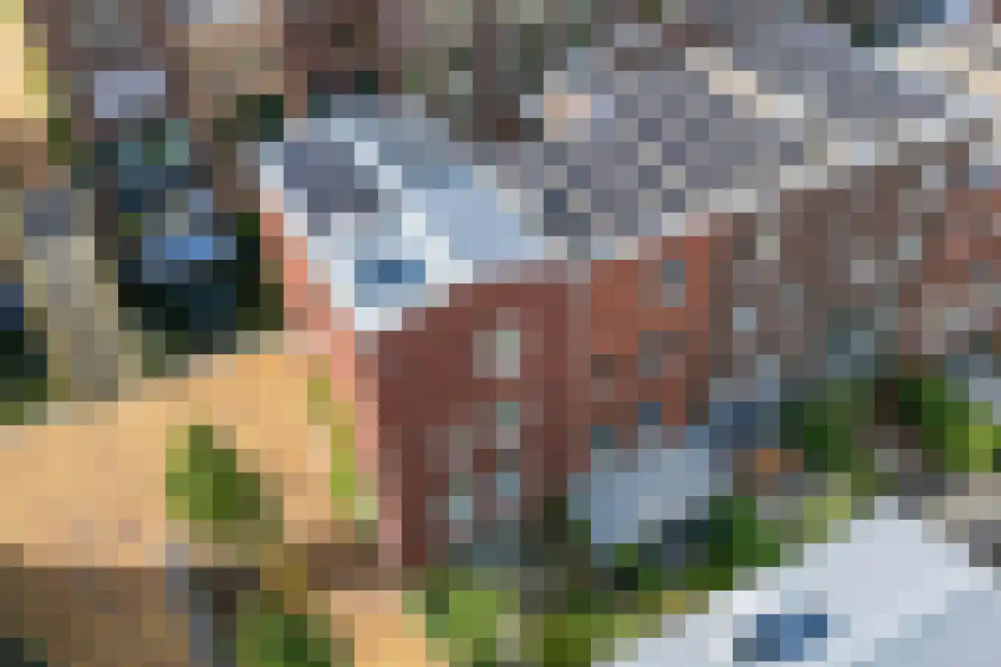 Iseldoks 117 Doetinchem thumbnail 45