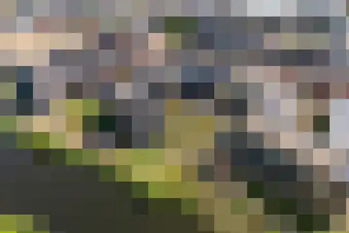 Iseldoks 129 Doetinchem thumbnail 51