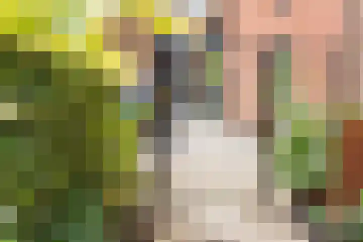 Iseldoks 141 Doetinchem thumbnail 43