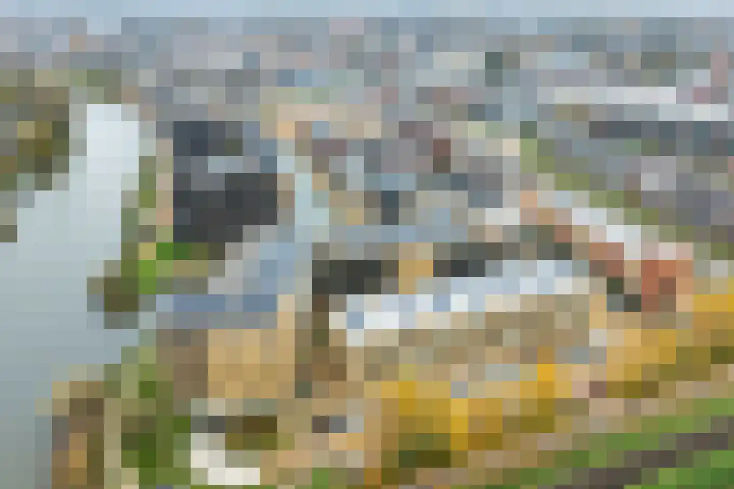 Iseldoks 169 Doetinchem thumbnail 57