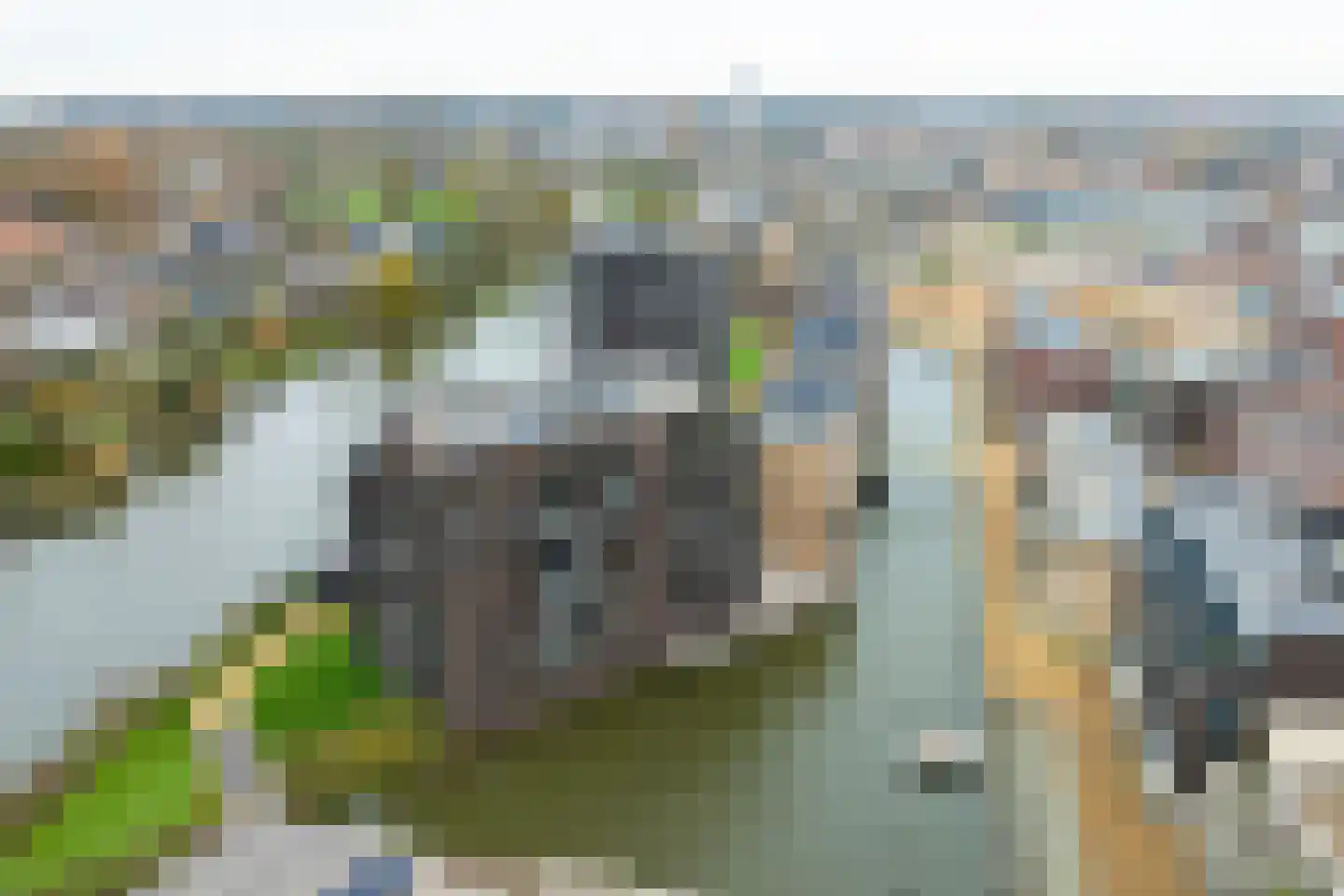 Iseldoks 169 Doetinchem thumbnail 60