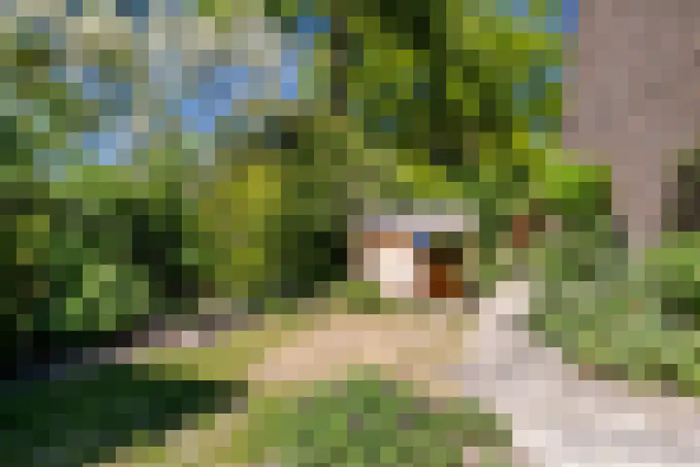 Isenburgstraat 2 Breda thumbnail 32