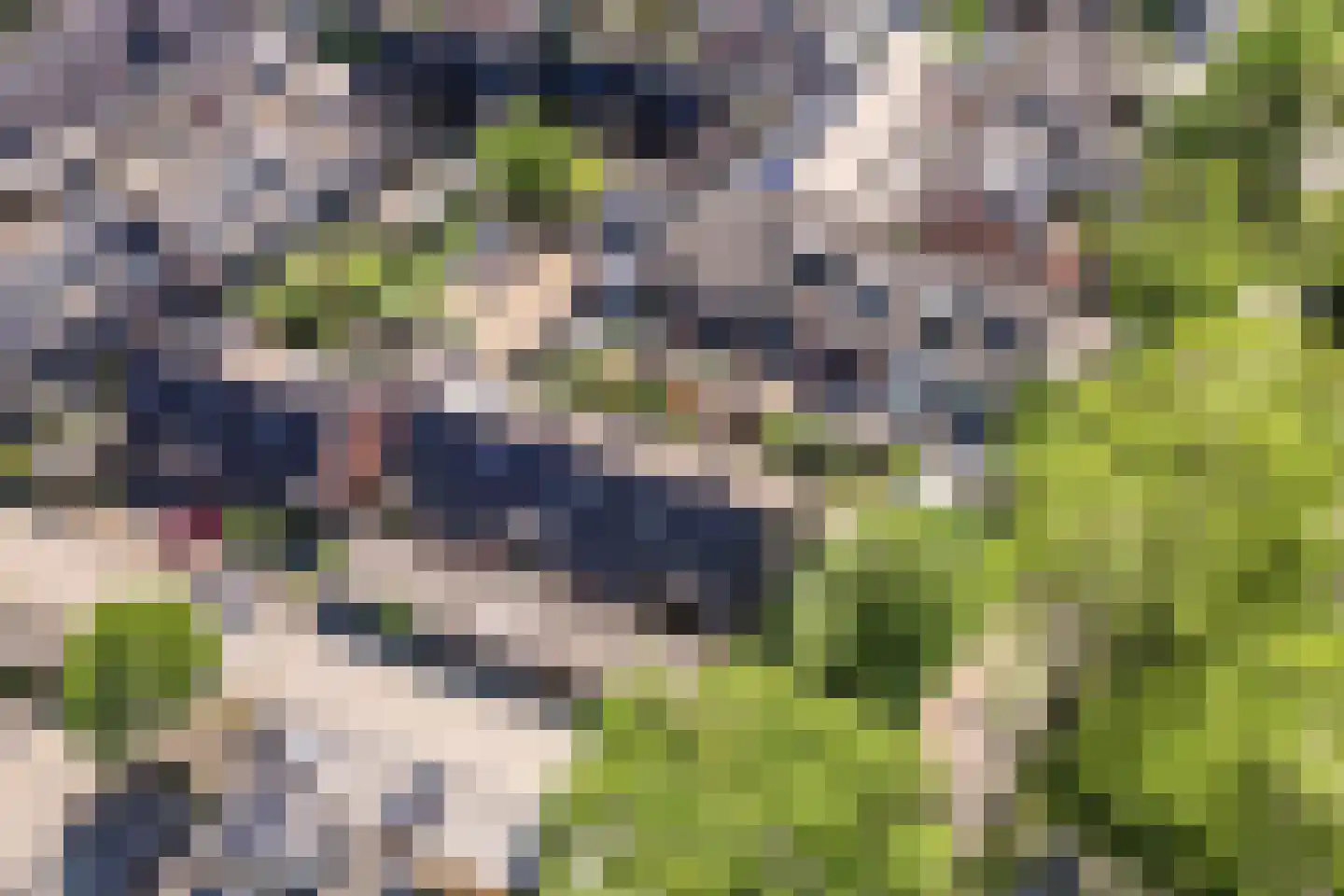 Isenburgstraat 2 Breda thumbnail 36