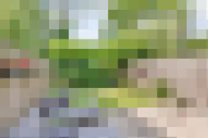 Isenburgstraat 41 Breda thumbnail 5