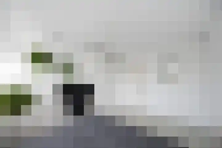 Iseoplantsoen 15 Amsterdam thumbnail 20