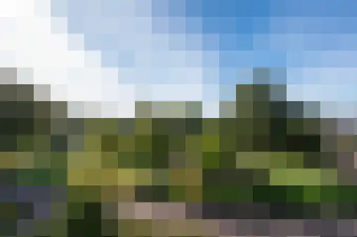 Iseoplantsoen 15 Amsterdam thumbnail 34