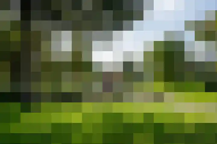 Iseoplantsoen 15 Amsterdam thumbnail 37