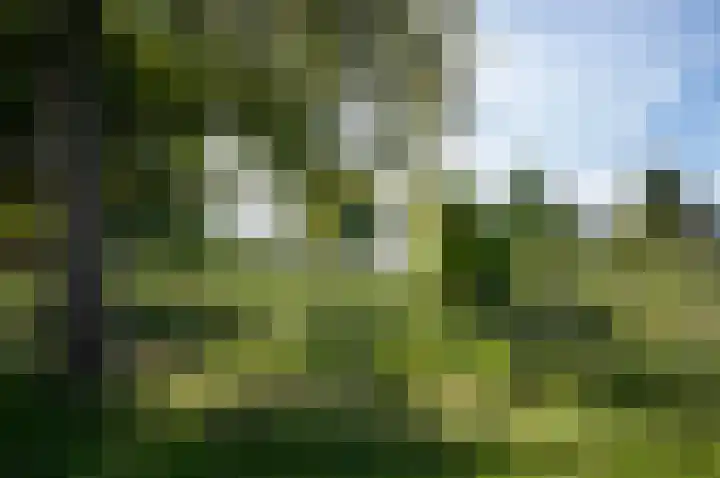 Iseoplantsoen 15 Amsterdam thumbnail 39
