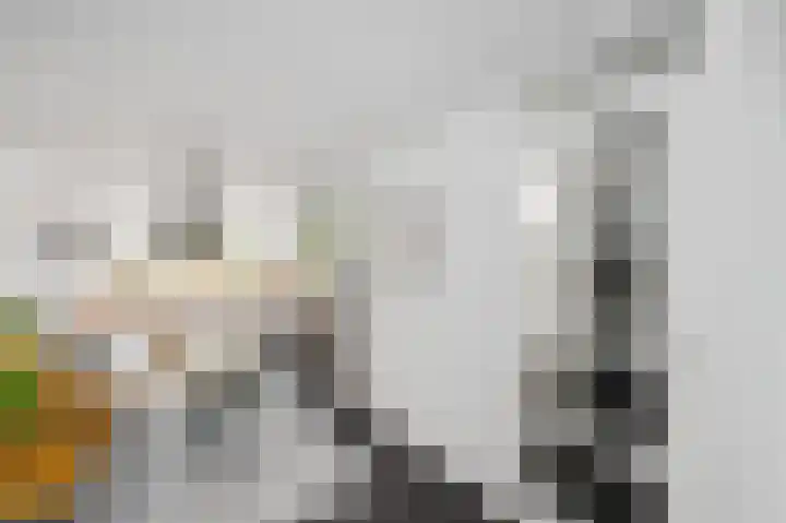 Iseoplantsoen 15 Amsterdam thumbnail 6