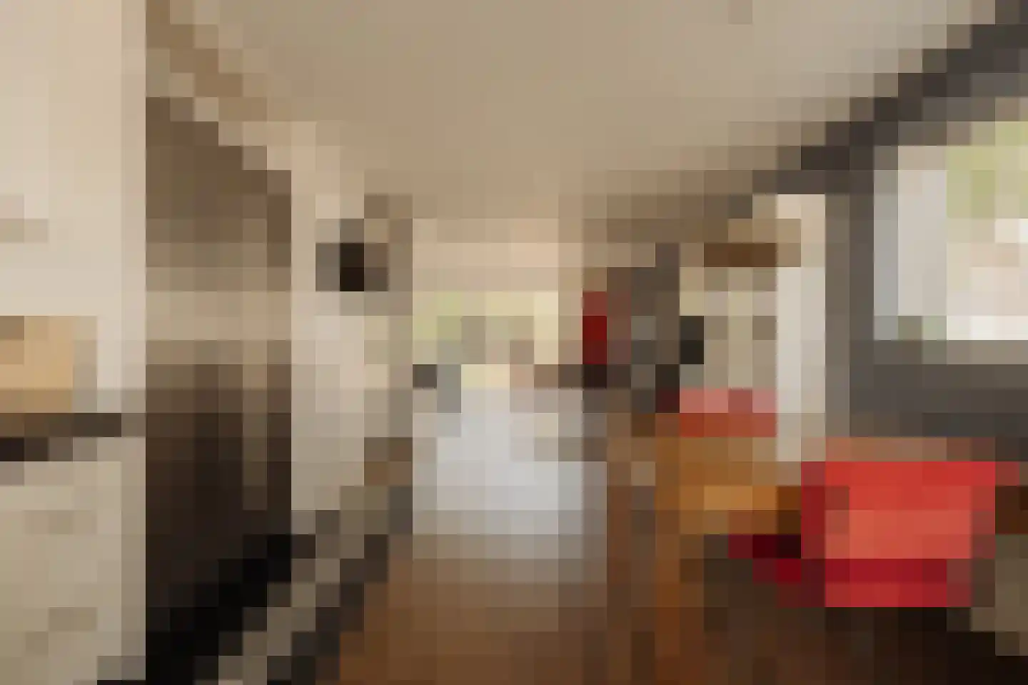Iseoplantsoen 17 Amsterdam thumbnail 10