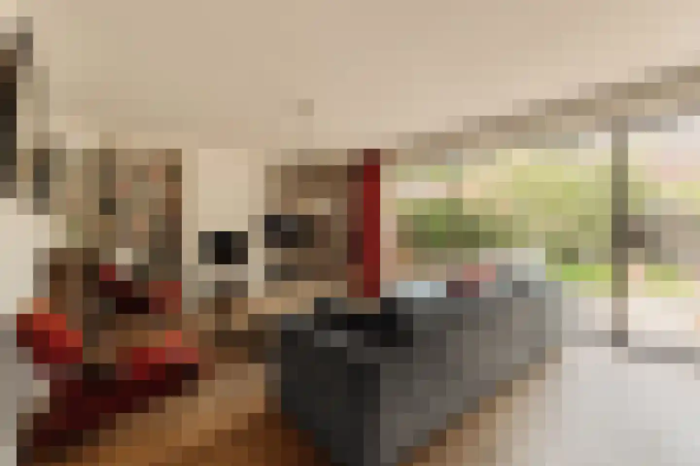 Iseoplantsoen 17 Amsterdam thumbnail 11