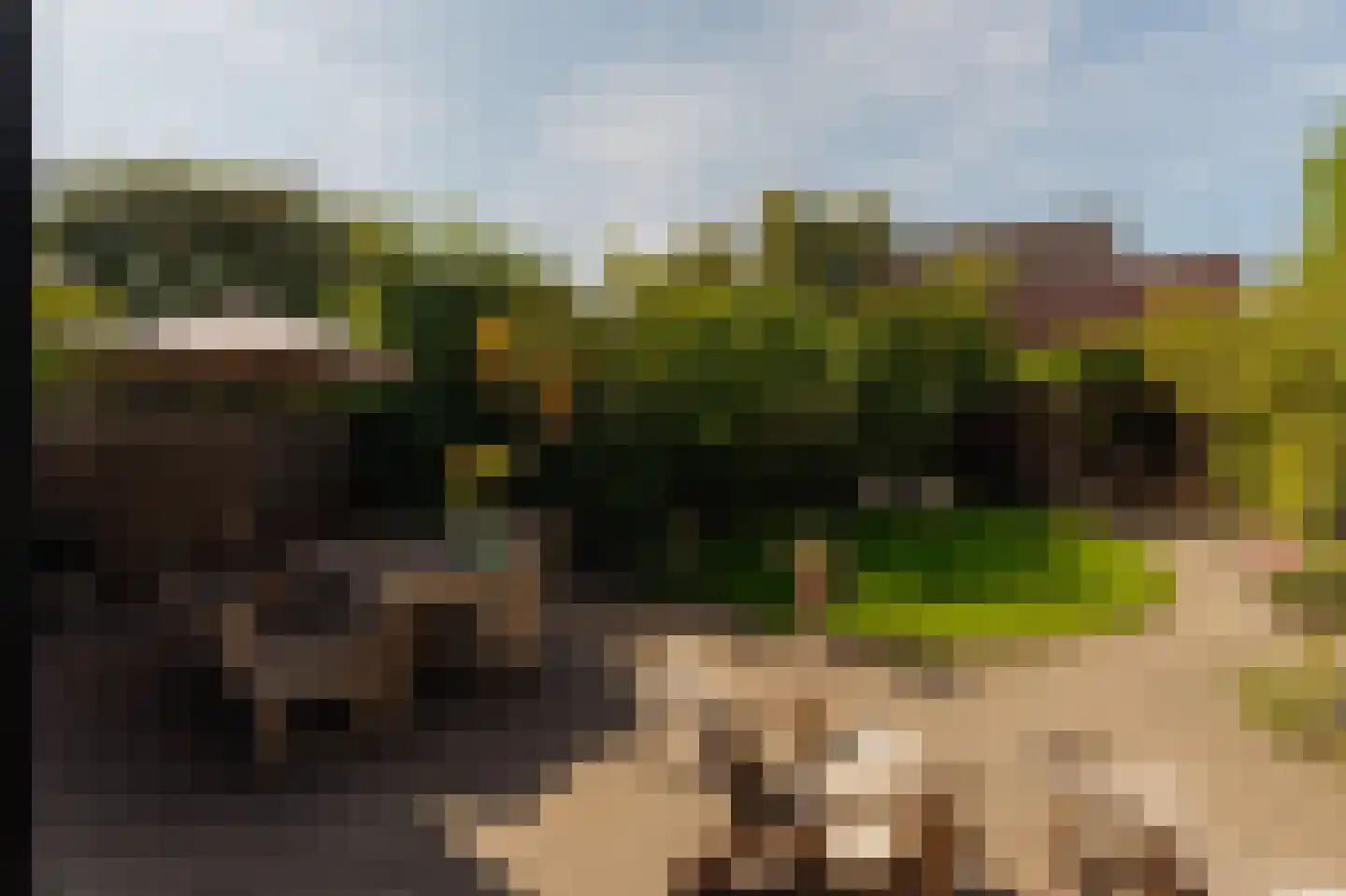 Iseoplantsoen 17 Amsterdam thumbnail 16