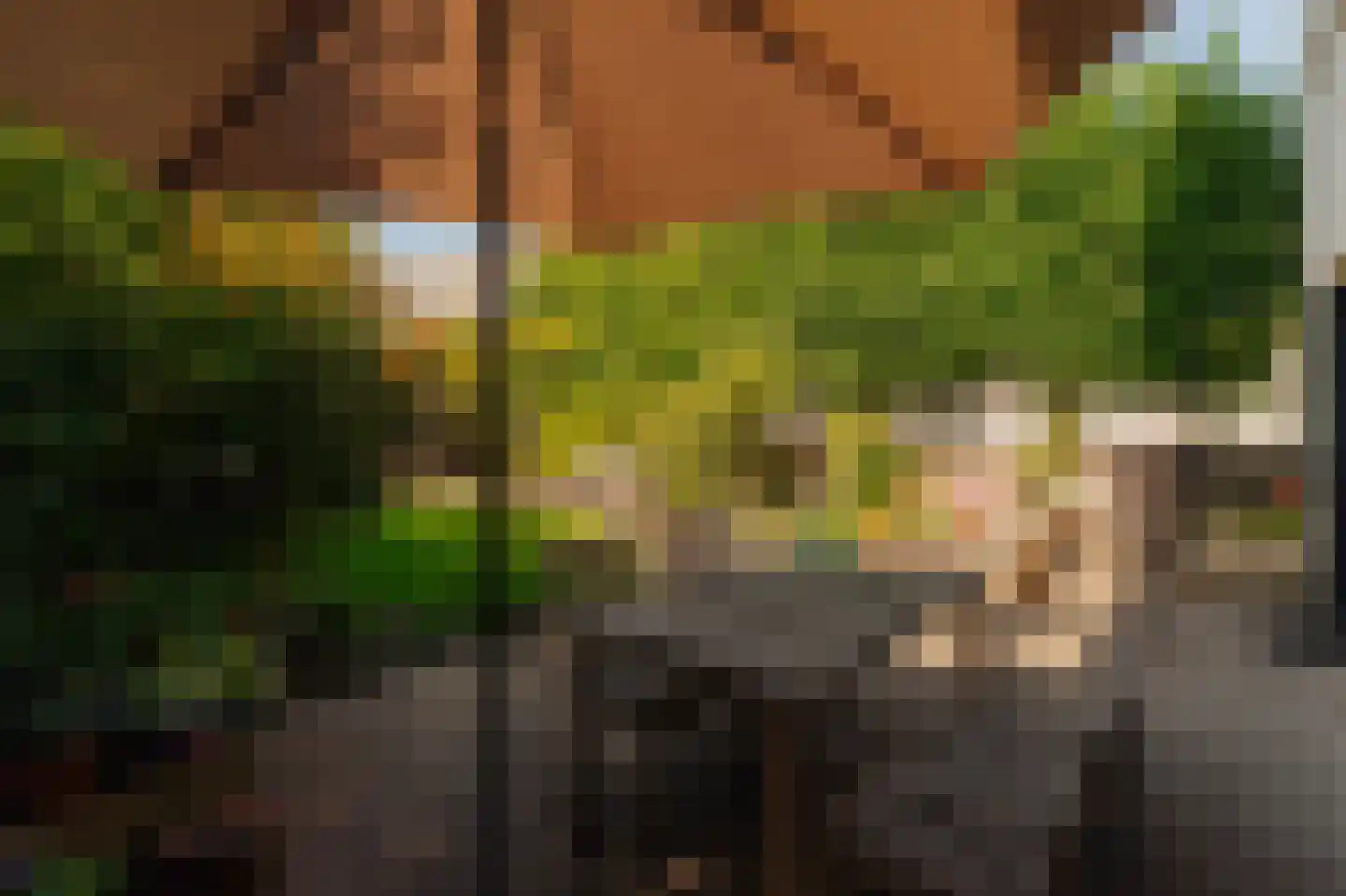 Iseoplantsoen 17 Amsterdam thumbnail 17