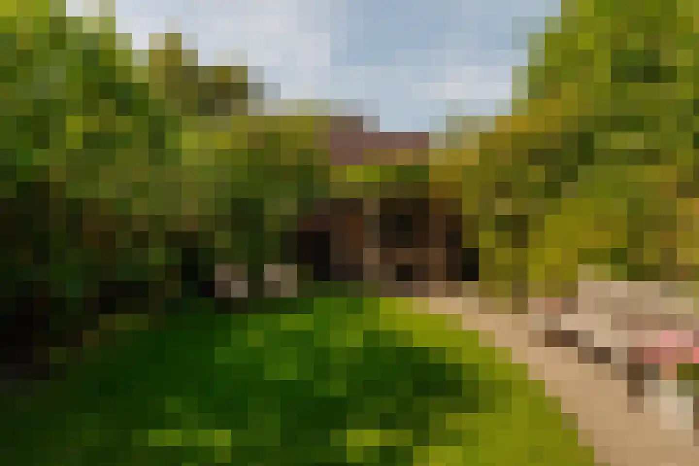 Iseoplantsoen 17 Amsterdam thumbnail 18