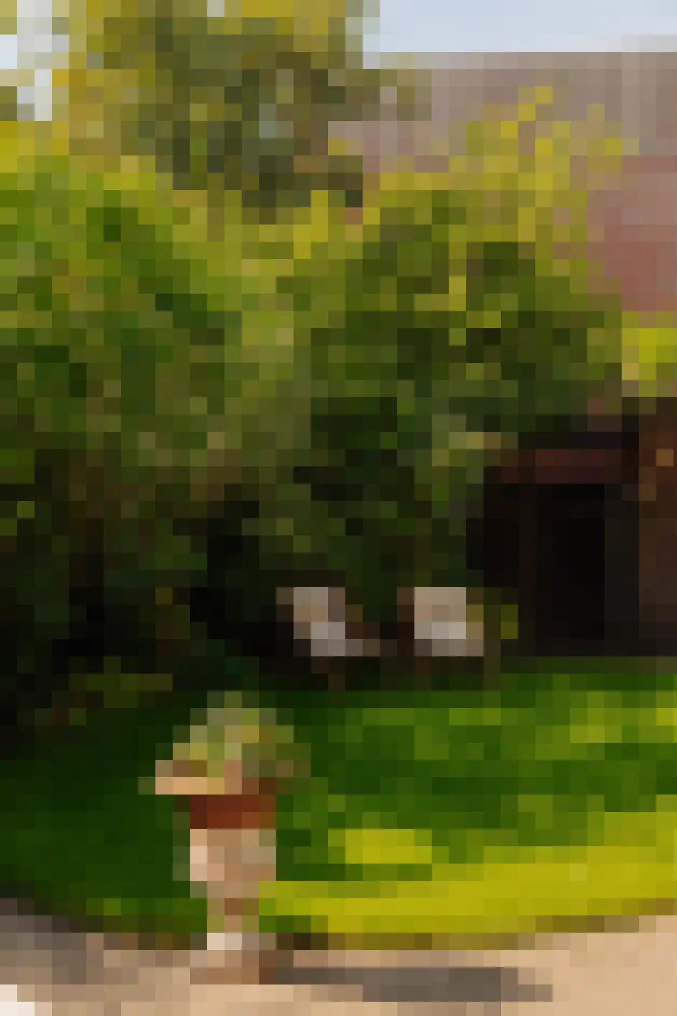 Iseoplantsoen 17 Amsterdam thumbnail 20