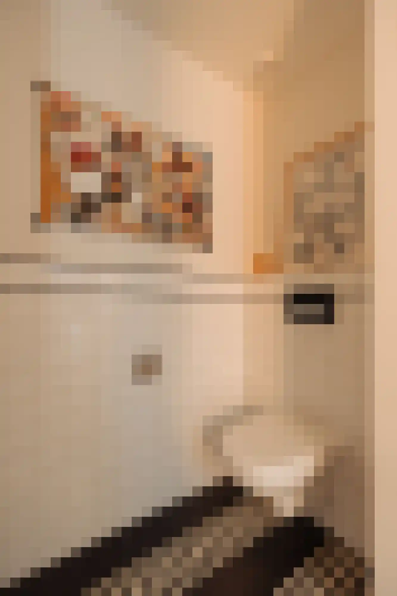 Iseoplantsoen 17 Amsterdam thumbnail 22