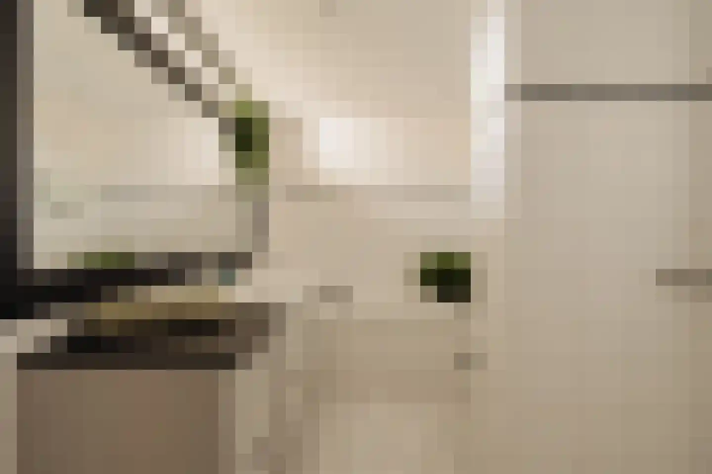 Iseoplantsoen 17 Amsterdam thumbnail 27