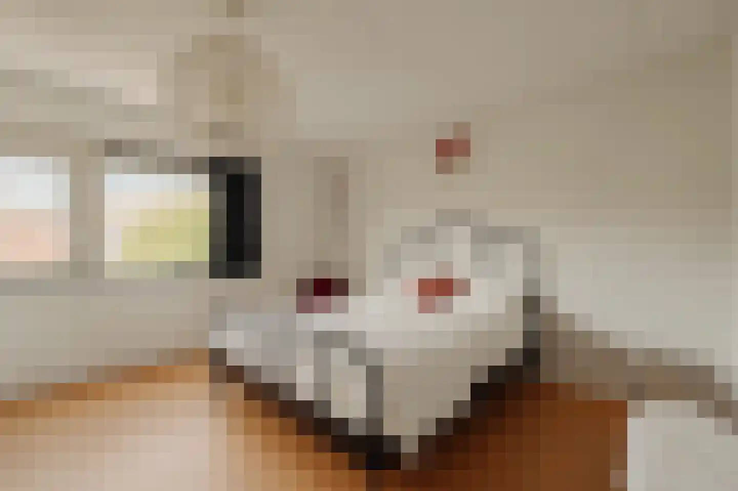 Iseoplantsoen 17 Amsterdam thumbnail 29