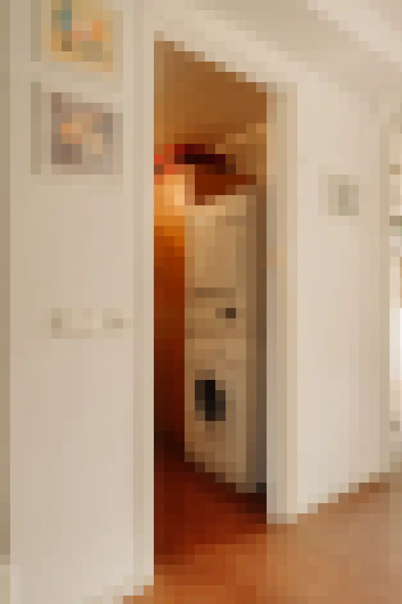 Iseoplantsoen 17 Amsterdam thumbnail 31