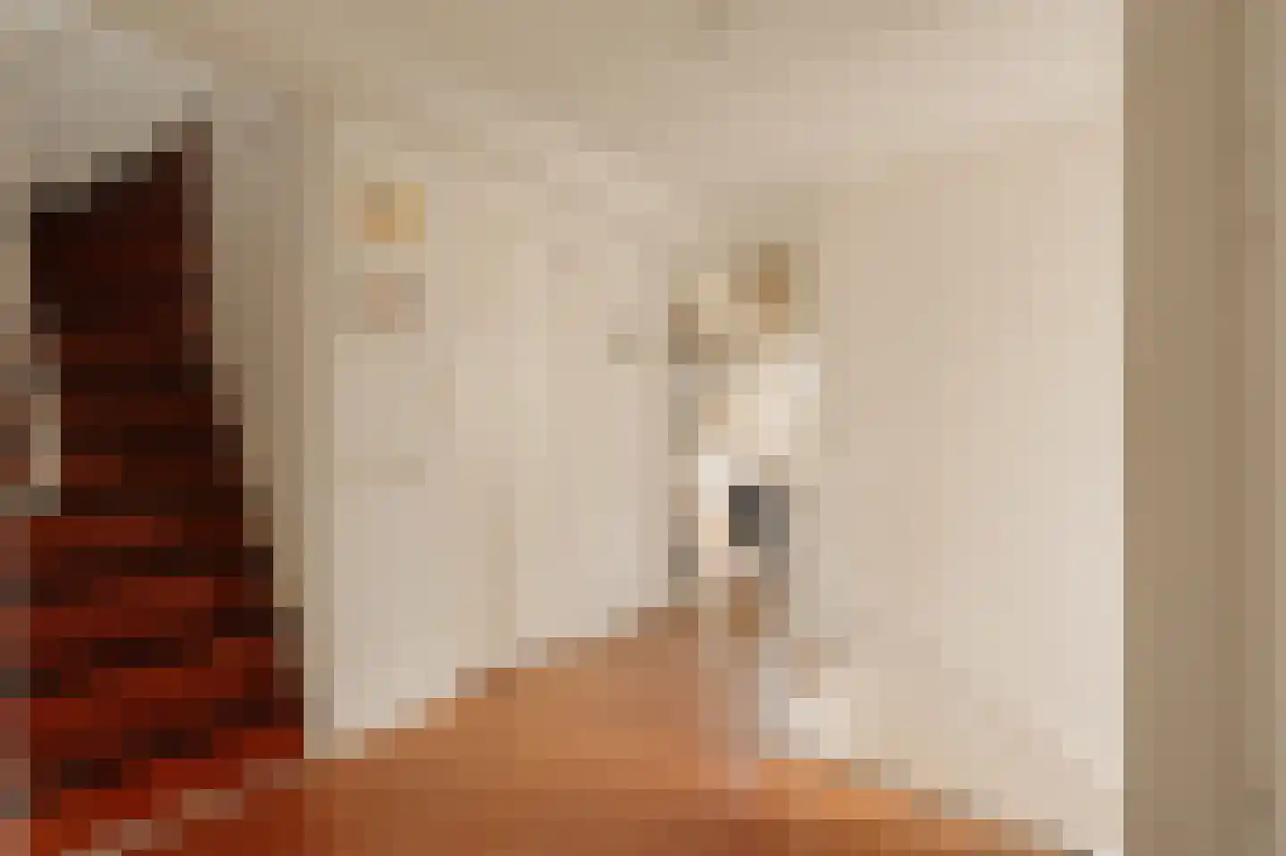 Iseoplantsoen 17 Amsterdam thumbnail 32