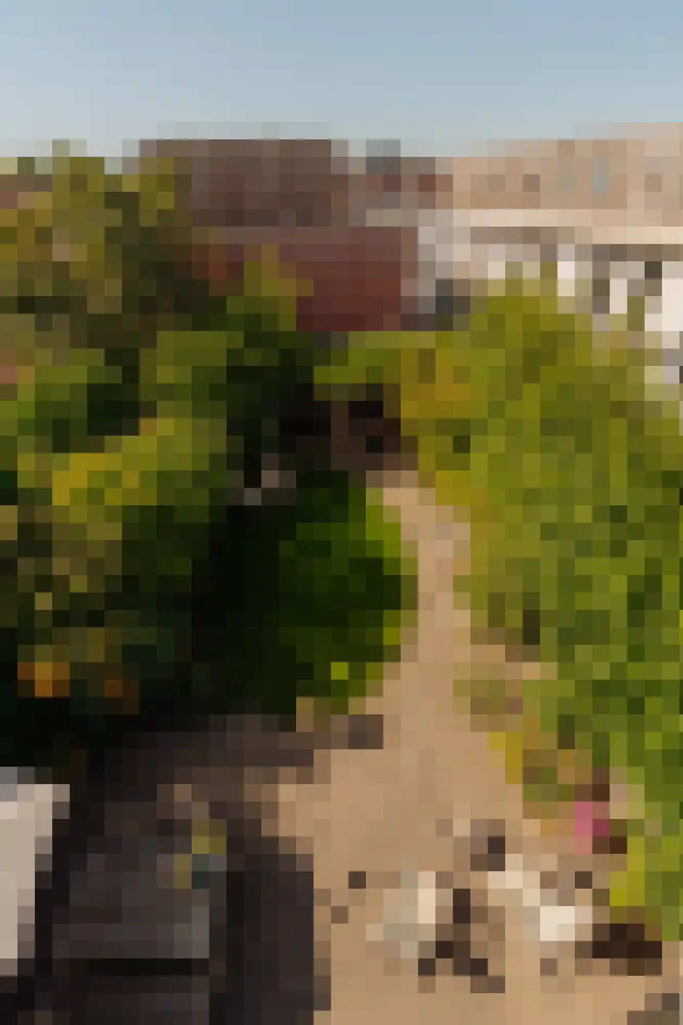 Iseoplantsoen 17 Amsterdam thumbnail 36