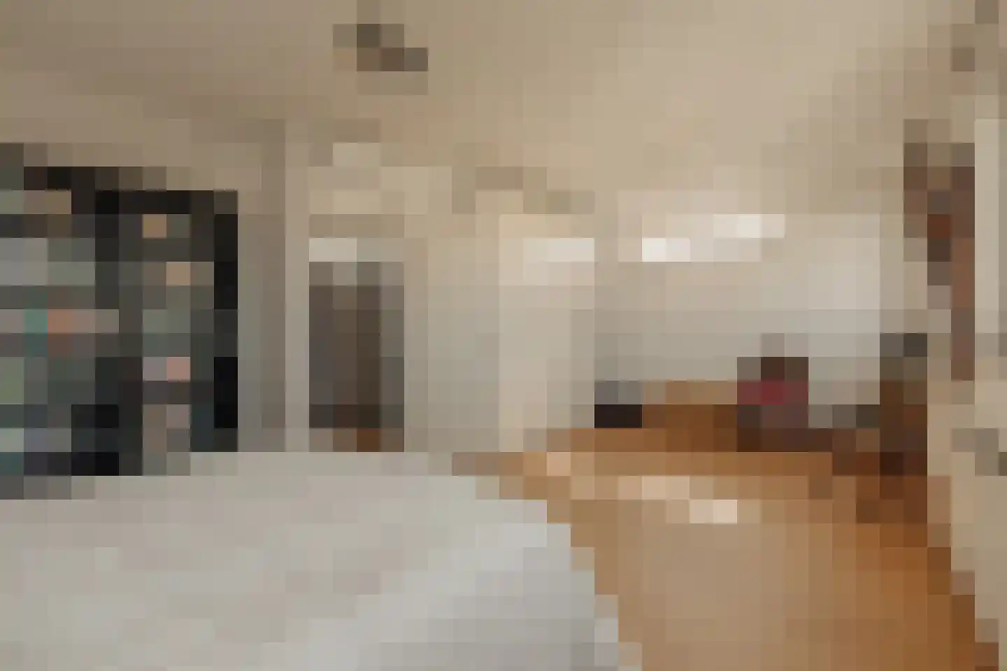 Iseoplantsoen 17 Amsterdam thumbnail 37