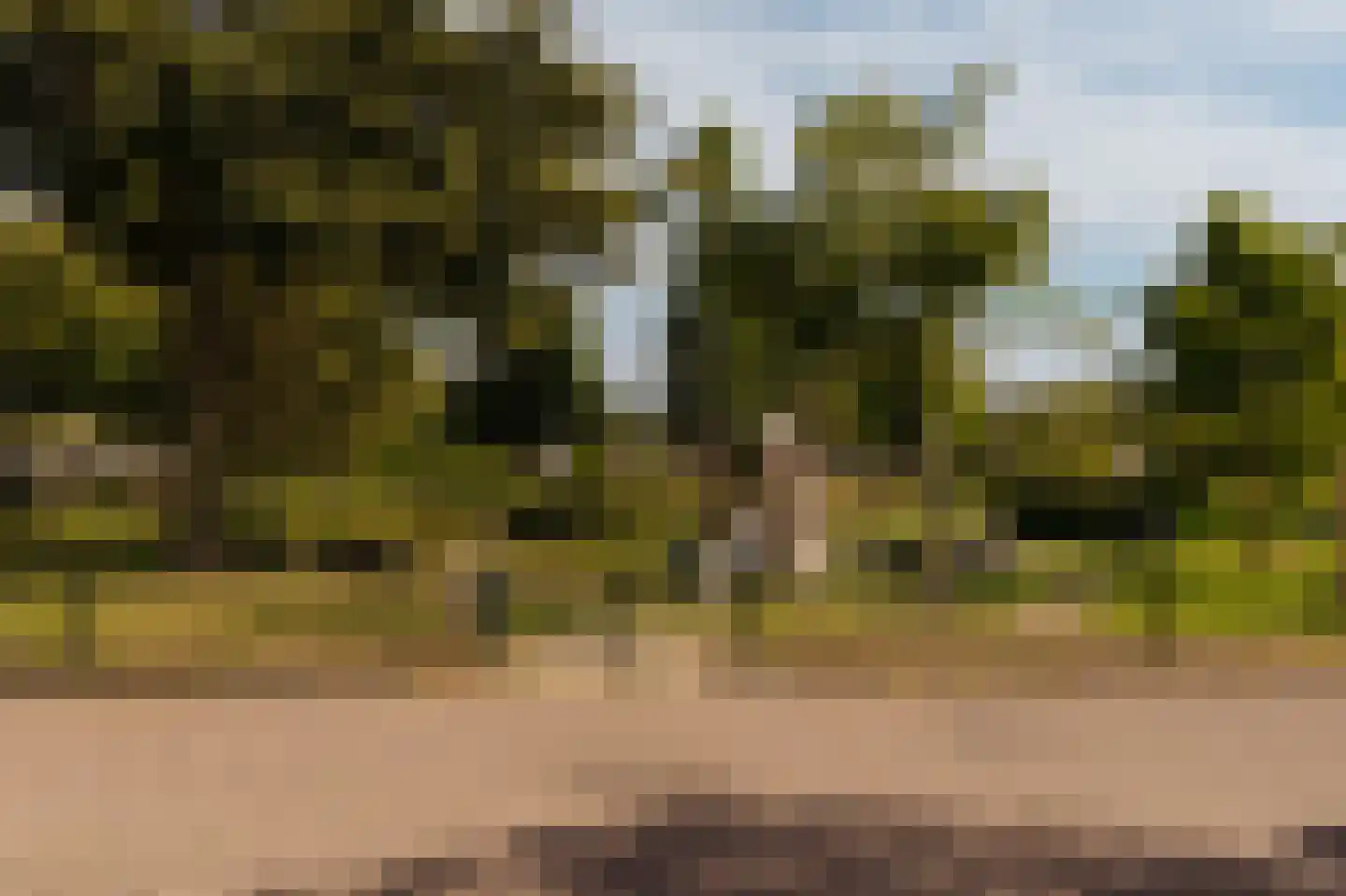 Iseoplantsoen 17 Amsterdam thumbnail 39