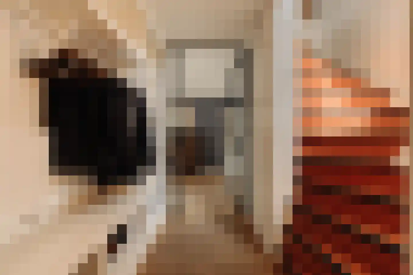 Iseoplantsoen 17 Amsterdam thumbnail 5