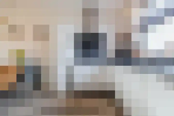Isidorusplein 9 Beek en Donk thumbnail 17