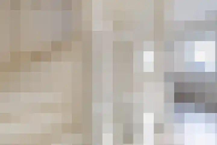Isidorusplein 9 Beek en Donk thumbnail 22